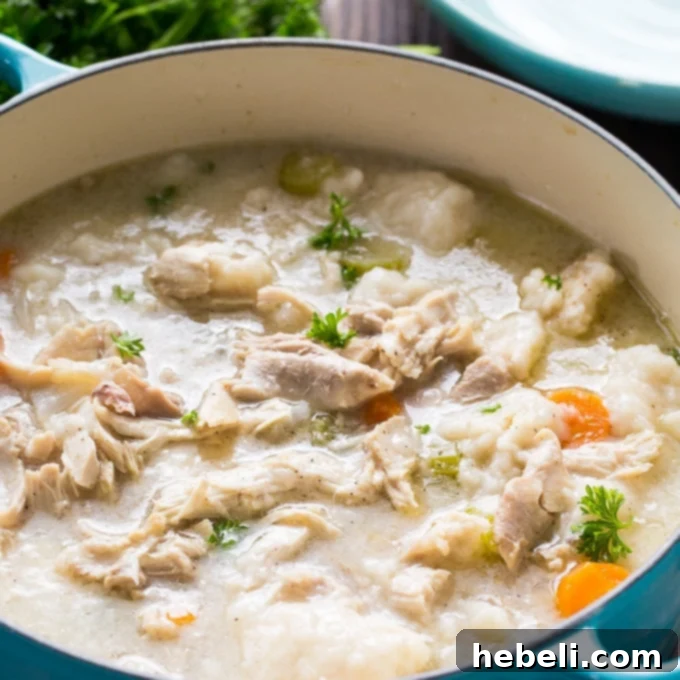 A steaming bowl of Old-Fashioned Chicken and Dumplings, rich with tender chicken and fluffy dumplings.