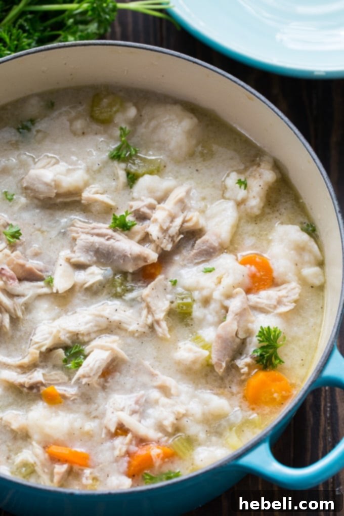 Close-up of freshly made Old-Fashioned Chicken and Dumplings, showcasing fluffy dumplings and rich broth.