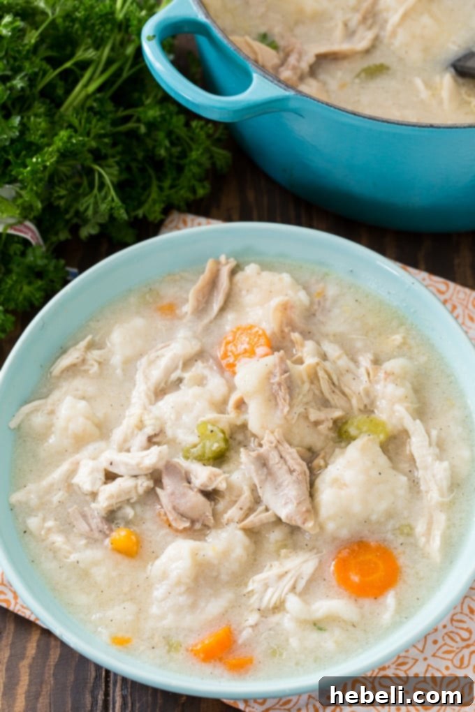 Close-up of fluffy, cooked dumplings and shredded chicken in a Dutch oven, ready to be served.