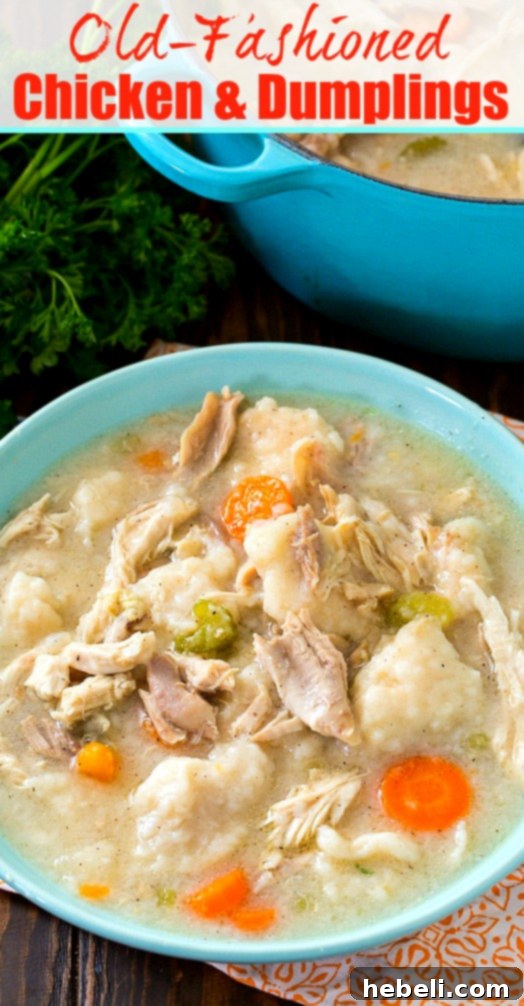 A large, inviting bowl filled with Old-Fashioned Chicken and Dumplings, ready to be served.