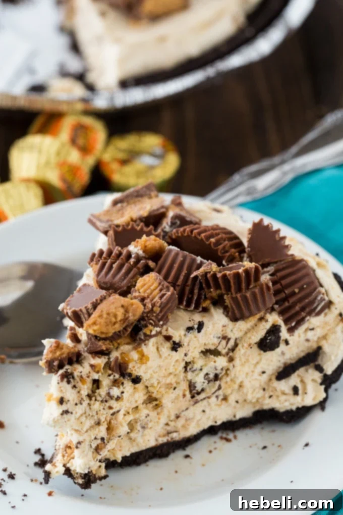 Easy No-Bake Peanut Butter Cup Pie 3 A slice of No Bake Peanut Butter Cup Pie showing the creamy filling and Oreo crust