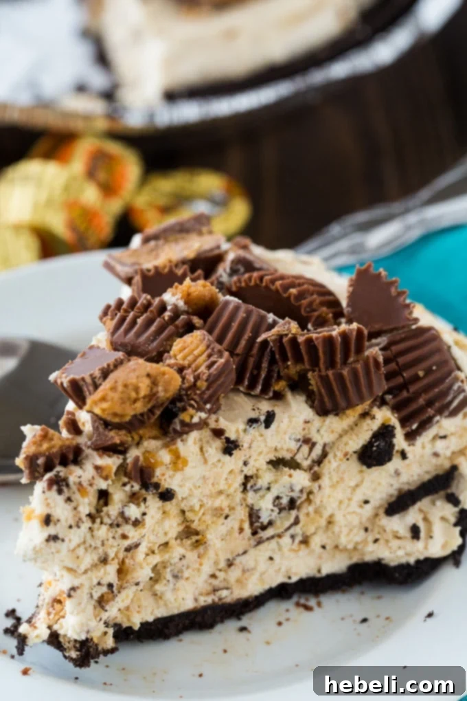 Easy No-Bake Peanut Butter Cup Pie 9 Completed No Bake Peanut Butter Cup Pie, ready to be served