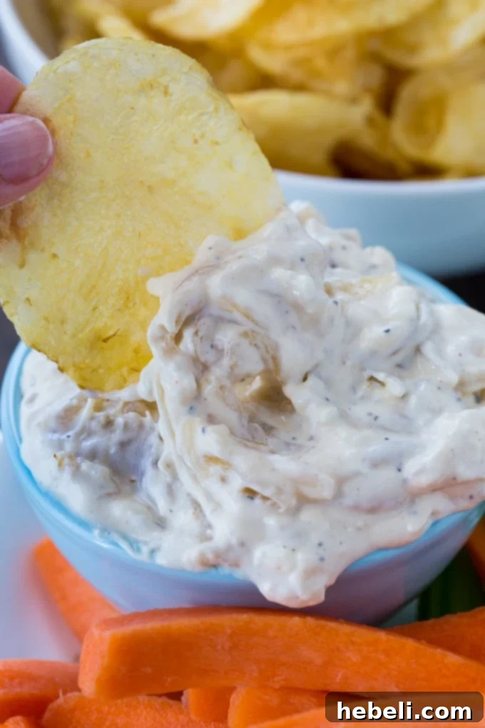Caramelized Onion Dip 4 Close-up of the delicious homemade Pan-Fried Onion Dip, showing its creamy texture and caramelized onion pieces.