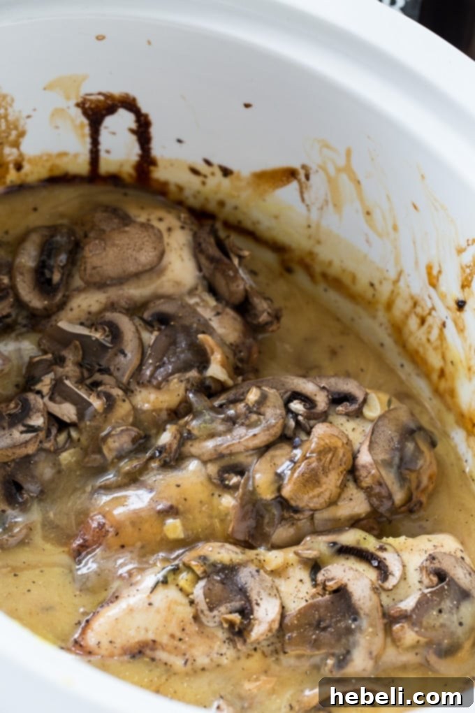 Tender Slow Cooked Chicken Marsala 3 Crock Pot Chicken Marsala recipe: Simple steps for a delicious meal