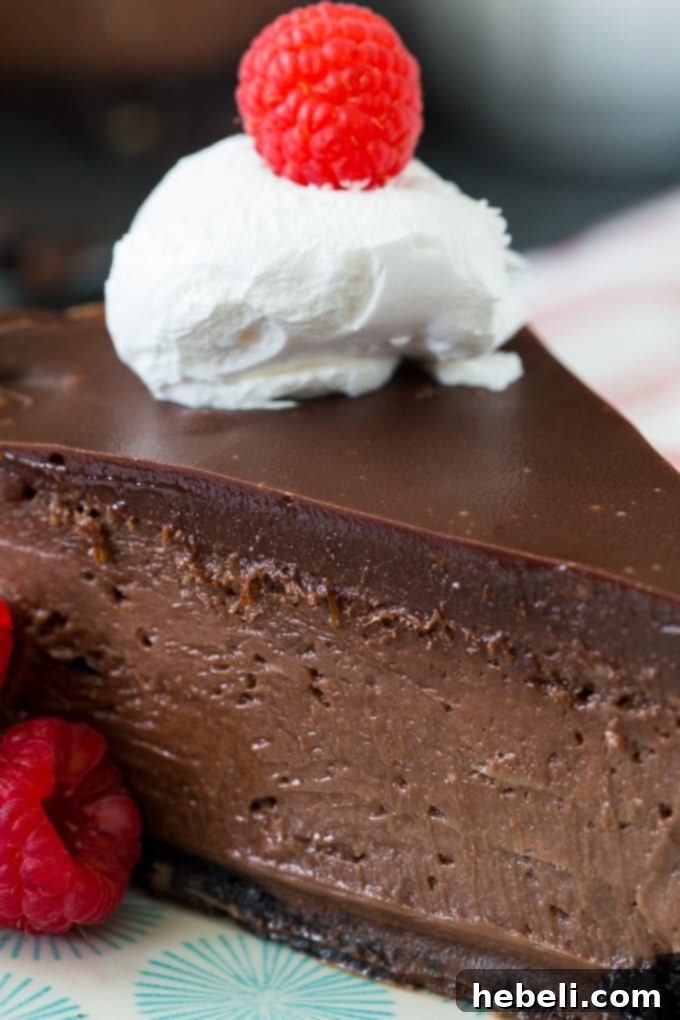 Individual slice of Nutella Cheesecake, showing layers of crust, filling, and ganache