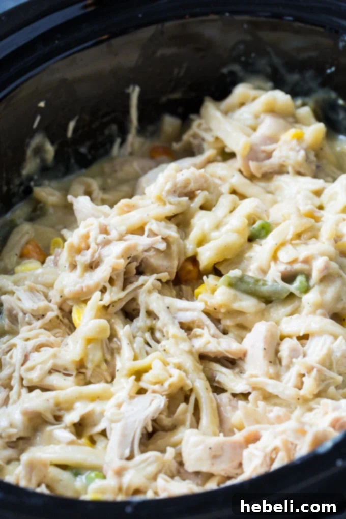 Chicken breasts and ingredients in a slow cooker.