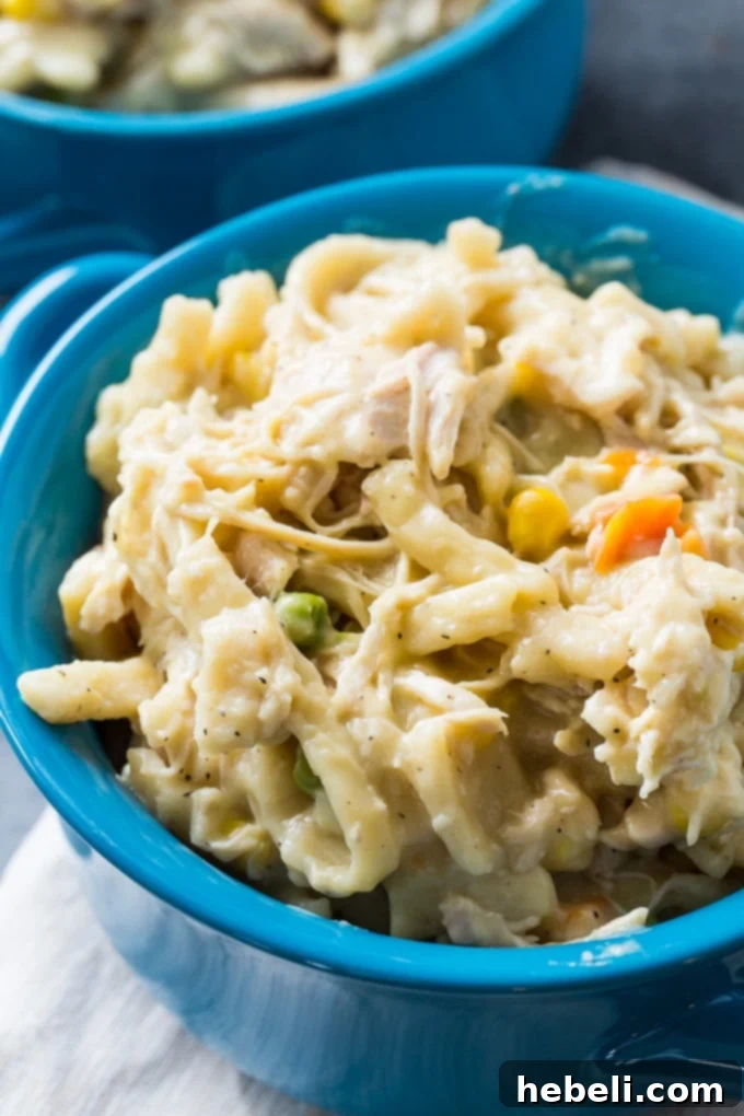 Close-up of Crock Pot Chicken and Noodles, rich and creamy.