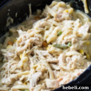 Crock Pot Chicken and Noodles