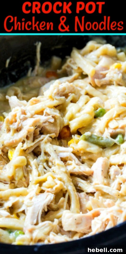 Chicken and Noodles in a black slow cooker, ready to serve.