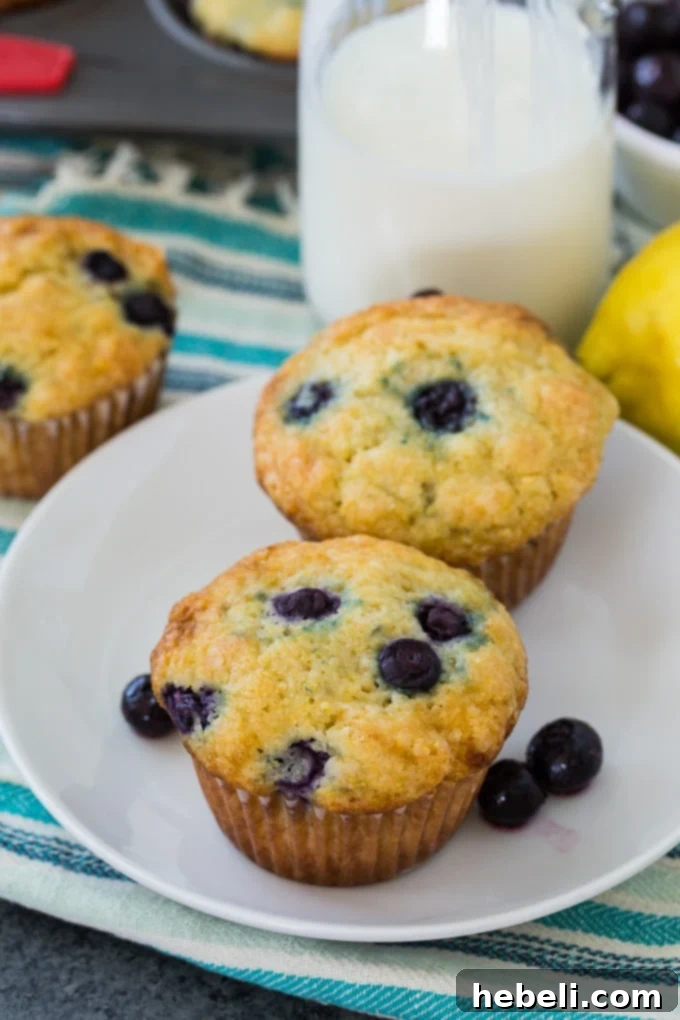 Close-up of golden-brown Lemon Blueberry Cornmeal Muffins cooling on a rack