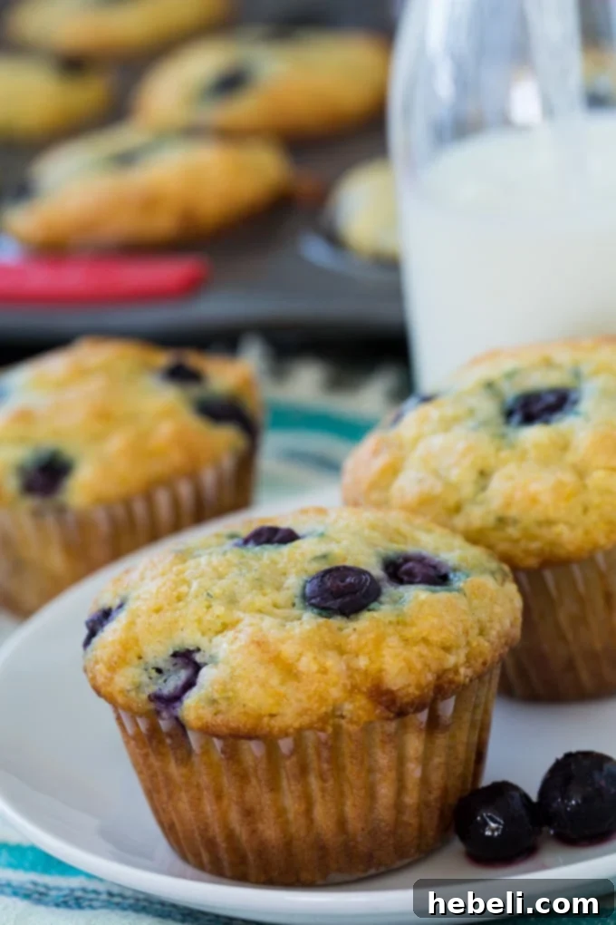 Delicious Lemon Blueberry Cornmeal Muffins on a wire cooling rack