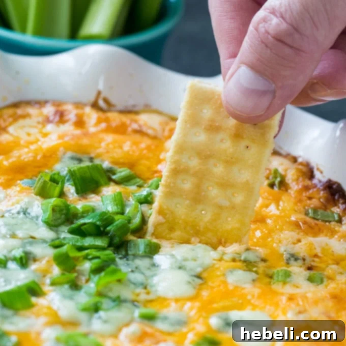 Creamy Buffalo Shrimp Dip, a spicy and delicious party appetizer perfect for gameday
