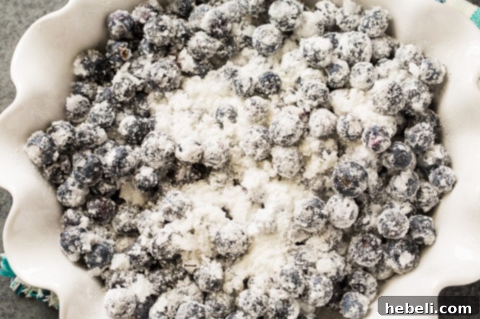 Coconut Blueberry Bliss Crisp 4 Blueberry Coconut Crisp, an easy summer dessert