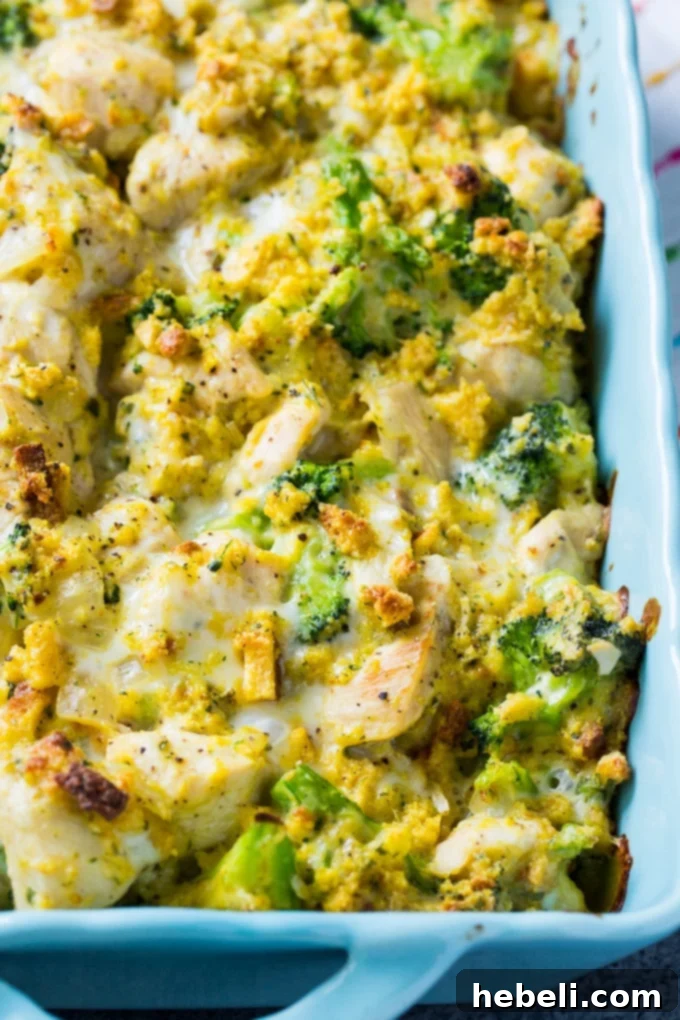 Hearty Cheesy Chicken Broccoli Bake 2 Delicious and creamy Cheesy Chicken and Broccoli Casserole fresh from the oven, topped with golden cornbread stuffing.