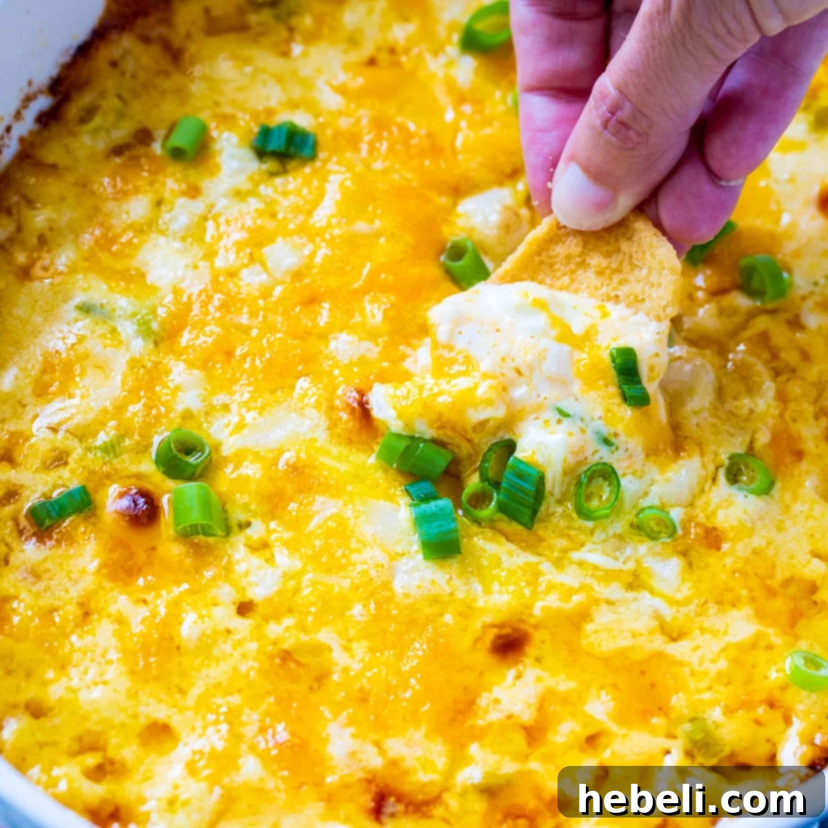 Irresistible Vidalia Onion Dip 2 Creamy Vidalia Onion Dip served with a chip, perfect for parties.