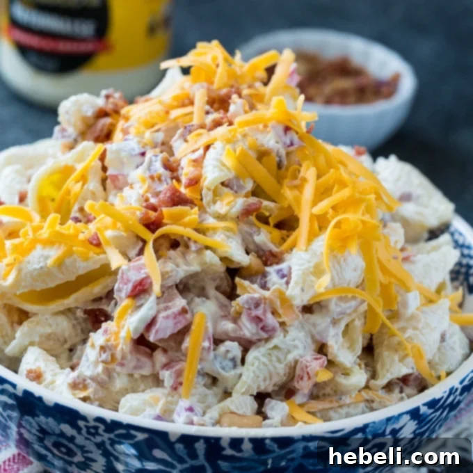 Creamy Tangy Pasta Salad 2 Creamy and Tangy Pasta Salad, garnished and ready to serve