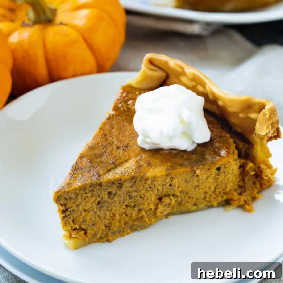 A perfectly sliced piece of Crock Pot Pumpkin Pie, generously topped with fluffy whipped cream, resting on a white plate. The pie's golden-brown crust and smooth, spiced filling are visible, inviting a delightful taste.