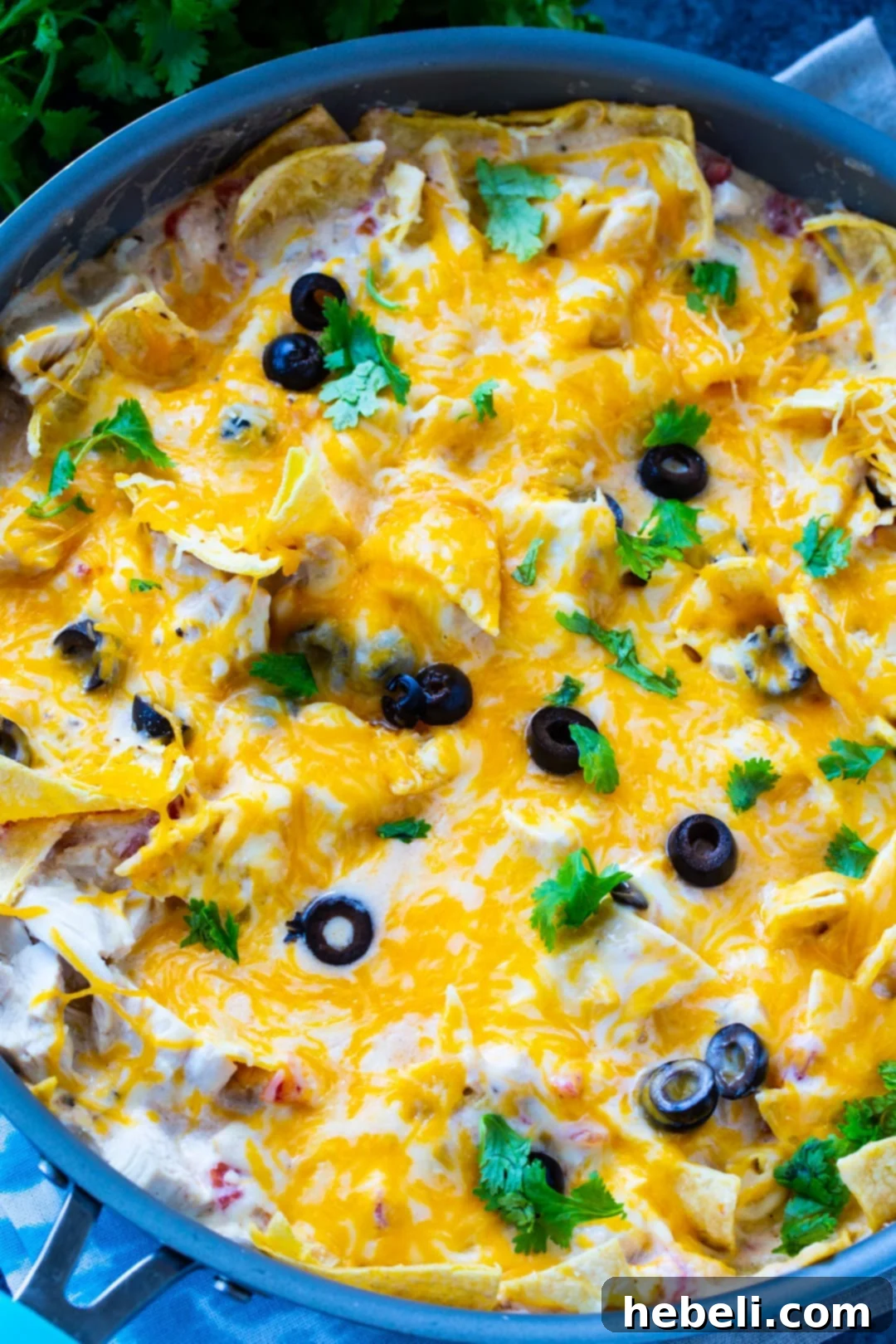 Overhead shot of a full One Pot Creamy Chicken Enchilada Skillet, showing the creamy texture, chicken, cheese, and tortillas.