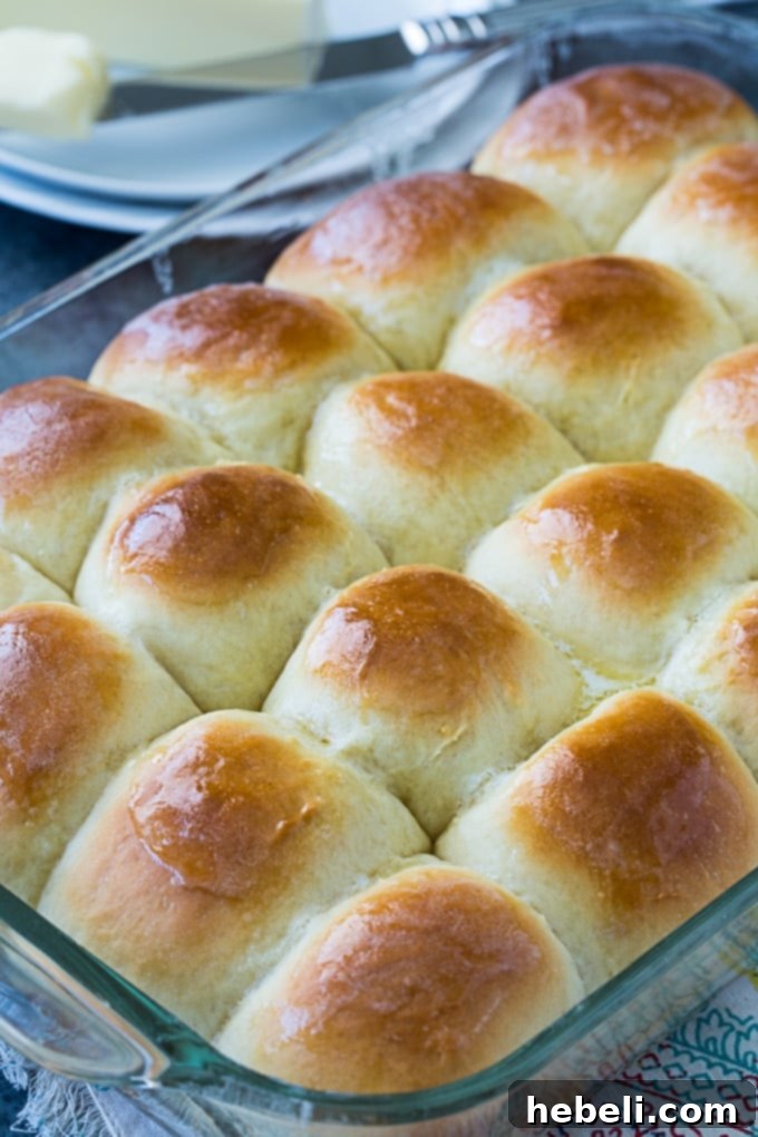 Yeast rolls rising in a baking dish