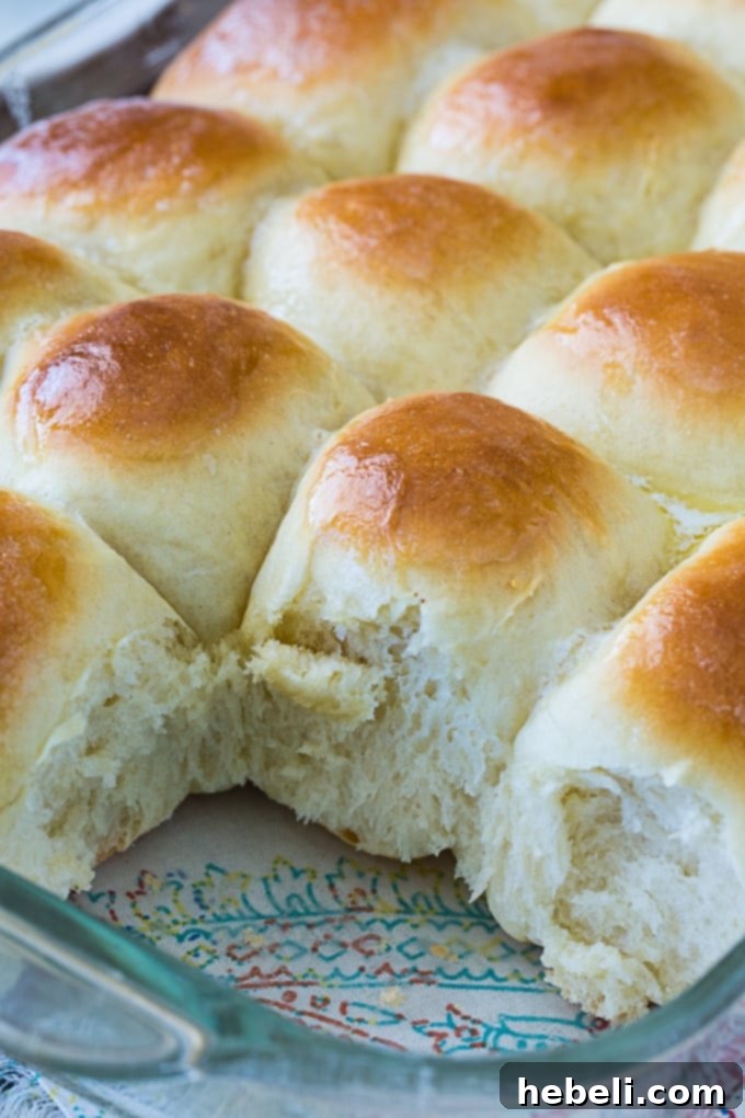 Freshly baked yeast rolls in a pan