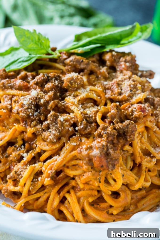 Velvety Instant Pot Cream Cheese Spaghetti 5 Instant Pot Cream Cheese Spaghetti in a bowl.