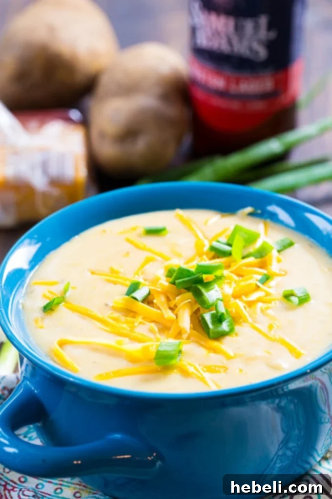 Velvety Slow Cooker Beer Cheese Potato Soup 5 Creamy Potato Beer Cheese Soup garnished with fresh green onions