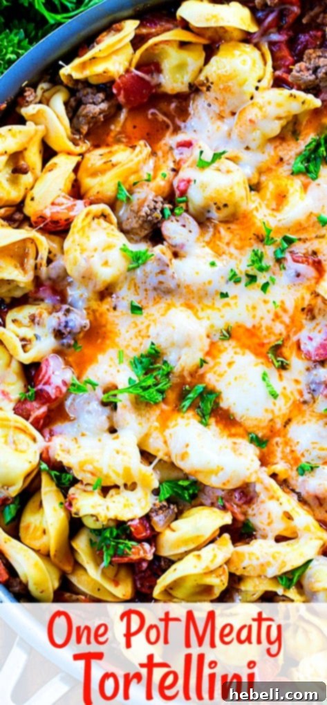 Hearty Meaty Tortellini served directly from a large pan