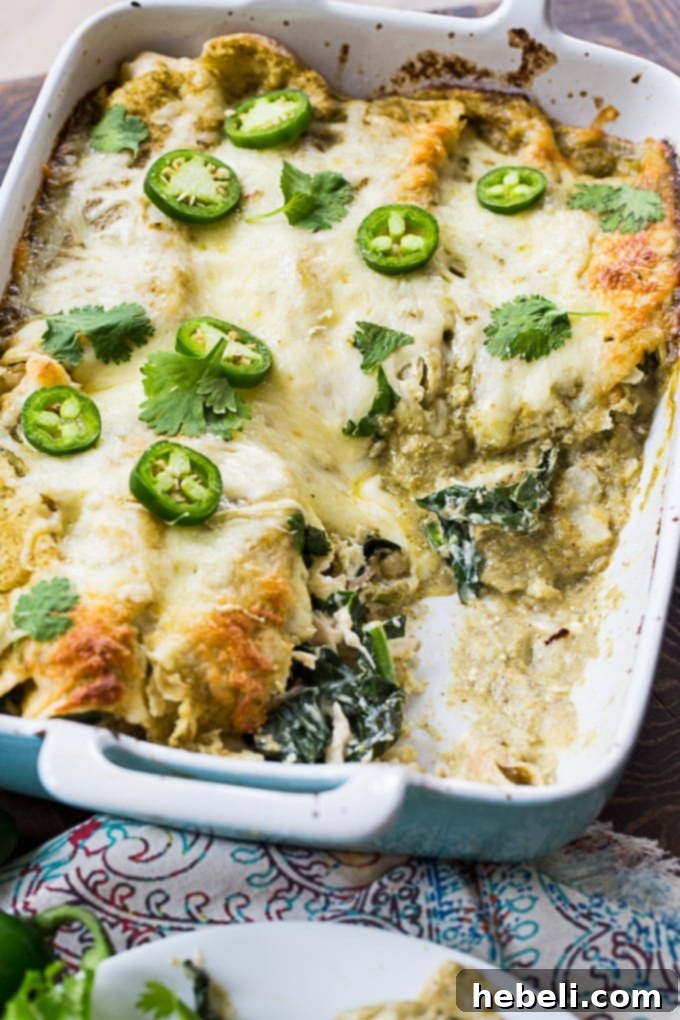 Southern Comfort Chicken and Collard Enchiladas 5 Pepper Jack cheese and sliced jalapenos for garnish