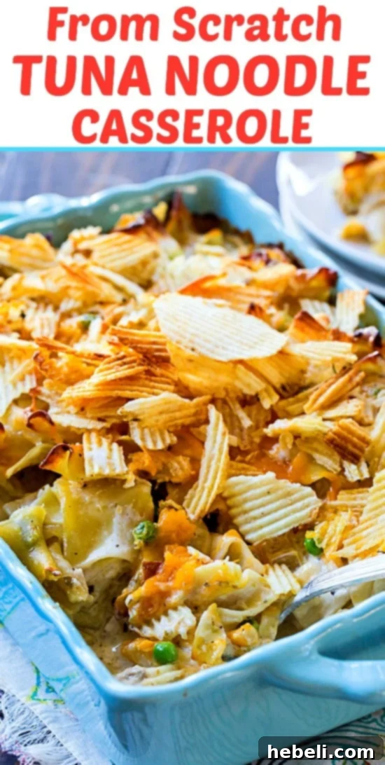A large serving of homemade tuna noodle casserole with extra potato chip topping