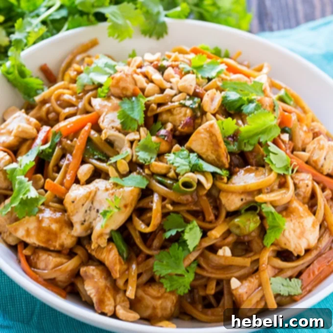 Thai Chicken Pasta, a quick and delicious homemade Asian noodle dish.
