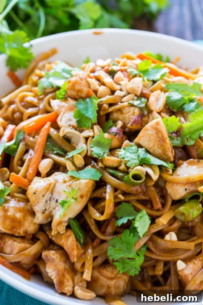 A serving of Thai Chicken Pasta, perfect for leftovers.