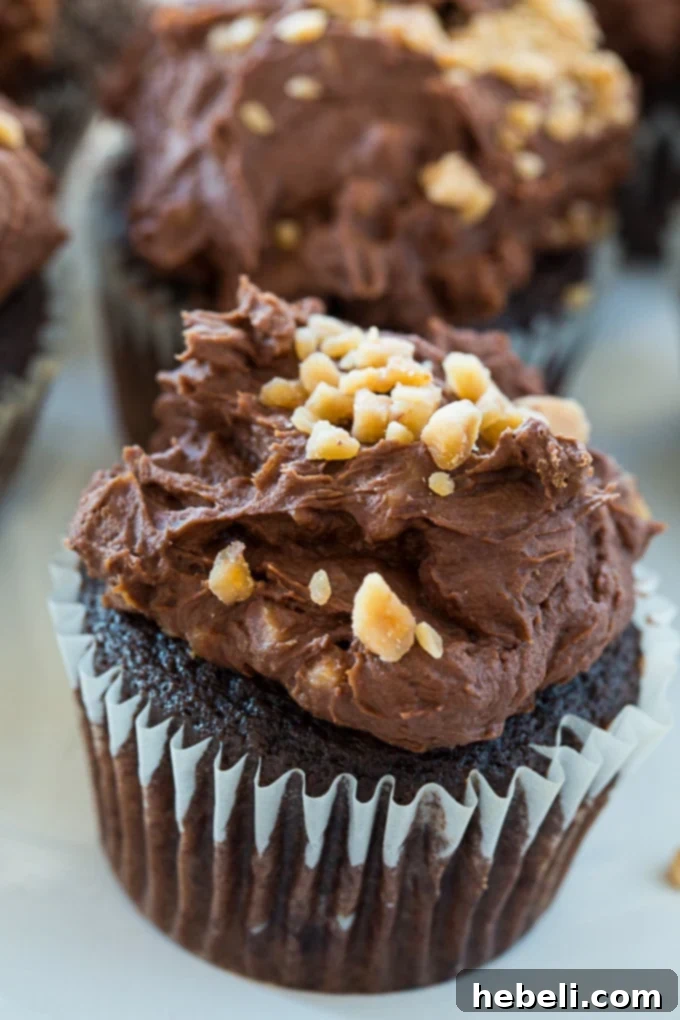 Close-up of a perfectly baked chocolate buttermilk cupcake, showing its tender crumb
