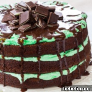 The whole Andes Layer Cake beautifully decorated with chopped mints