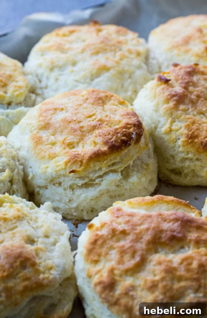 Close-up of fluffy 3-ingredient biscuits, showcasing their texture