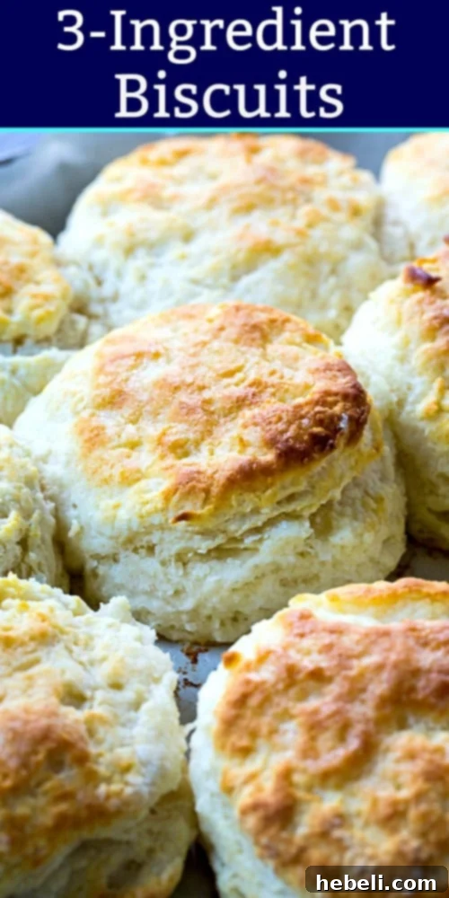Three golden 3-ingredient biscuits on a white plate
