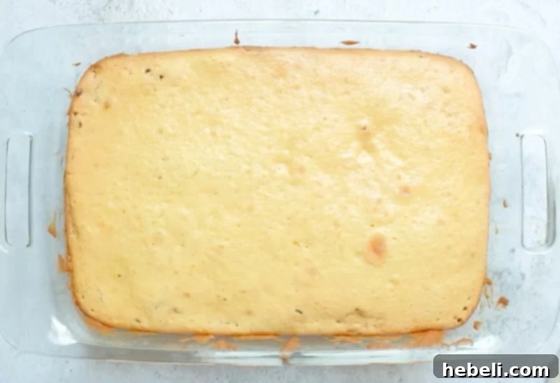 Baked Cake without glaze, golden brown.