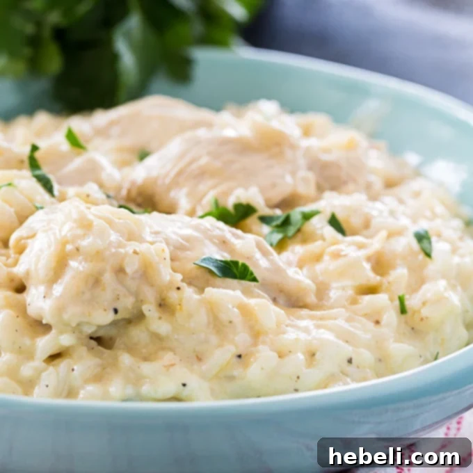 Instant Pot Garlic Parmesan Chicken and Rice