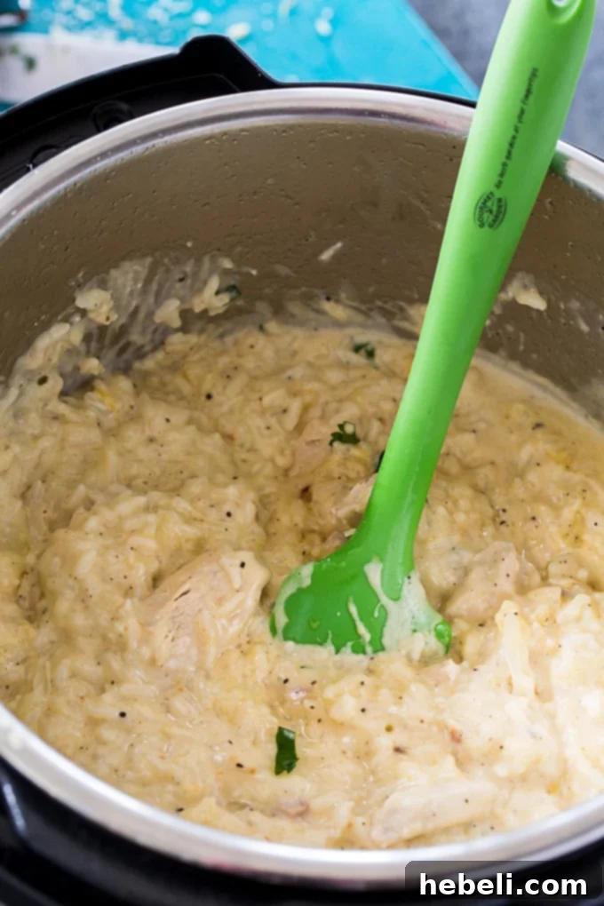 Instant Pot Garlic Parmesan Chicken and Rice