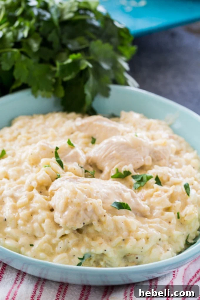 Instant Pot Garlic Parmesan Chicken and Rice