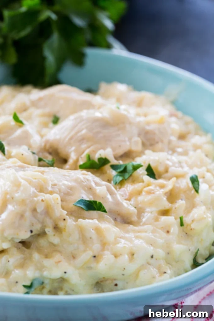 Instant Pot Garlic Parmesan Chicken and Rice