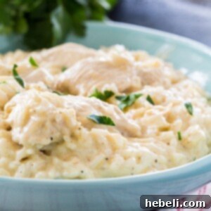 Instant Pot Garlic Parmesan Chicken and Rice