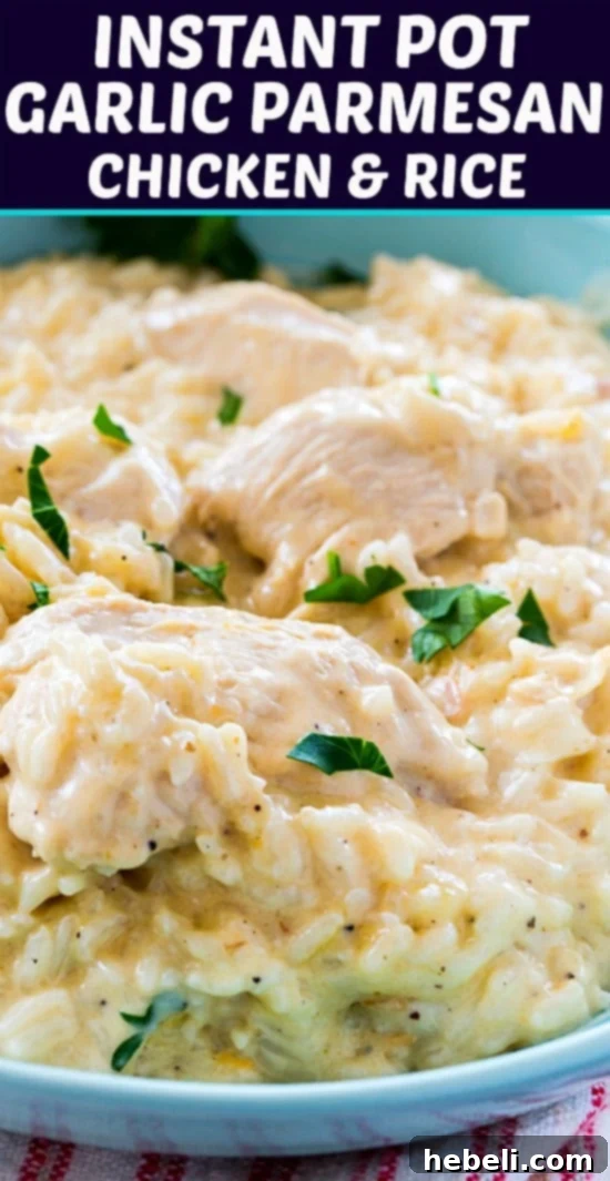 Instant Pot Garlic Parmesan Chicken and Rice