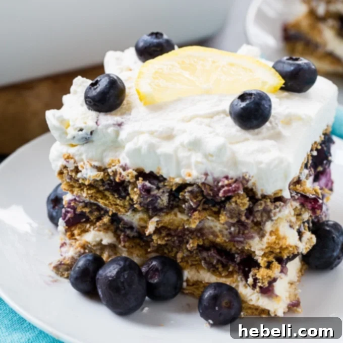 Blueberry Cheesecake Icebox Delight 2 Delicious Blueberry Cheesecake Icebox Cake for summer