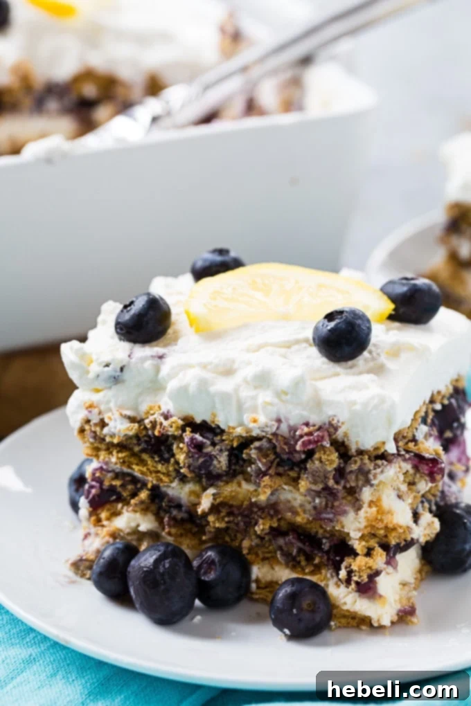 Blueberry Cheesecake Icebox Delight 6 Blueberry Cheesecake Icebox Cake ready to be served