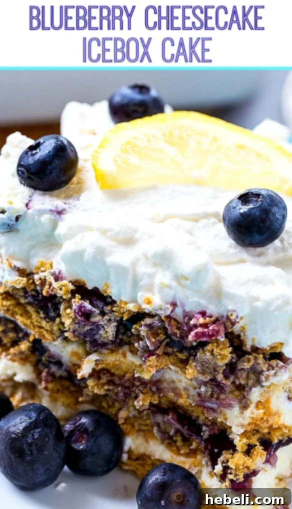 Blueberry Cheesecake Icebox Delight 8 Blueberry Cheesecake Icebox Cake close-up with fresh blueberries