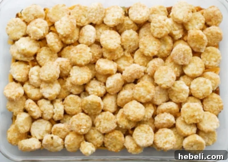 Layer of tater tots meticulously arranged over the cheese.