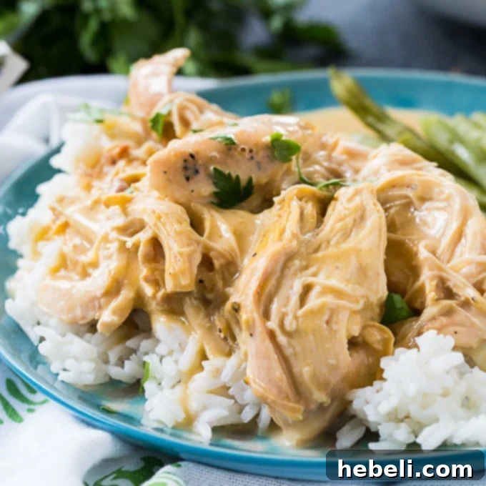 Easy Slow Cooker Chicken and Gravy 2 Crock Pot Chicken and Gravy – A hearty and comforting slow cooker meal.