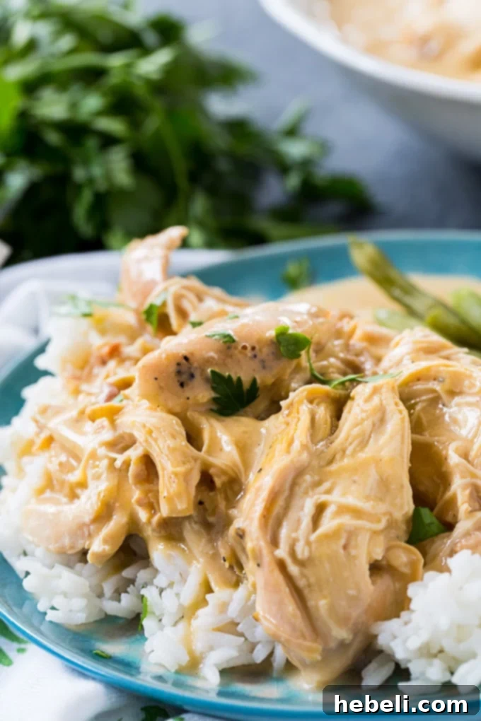 Easy Slow Cooker Chicken and Gravy 5 Crock Pot Chicken and Gravy in a serving bowl, ready to be enjoyed.
