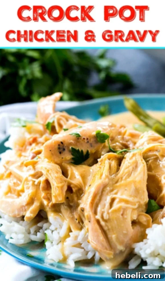 Easy Slow Cooker Chicken and Gravy 7 A final shot of Crock Pot Chicken and Gravy, ready for serving.