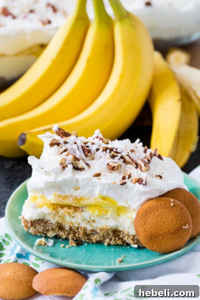 Creamy Banana Bliss 3 A close-up of Banana Cream Delight, highlighting the thick layers and fluffy topping